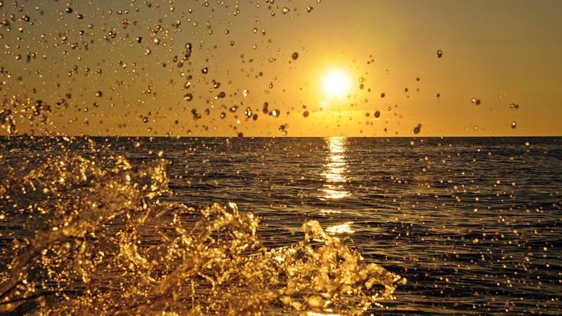 alquiler catamarán Marbella alquiler catamarán Marbella